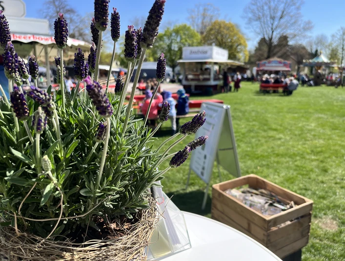 2022 Frühjahrsmarkt (2).jpeg