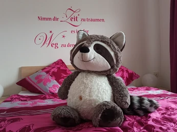 Zum glücklichen Waschbär