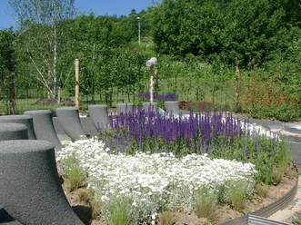 Sehenswerter Garten im Bad Wildunger Kurpark.