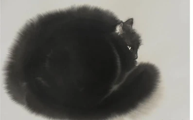 Screenshot_20230110-204707_Gallery.jpg