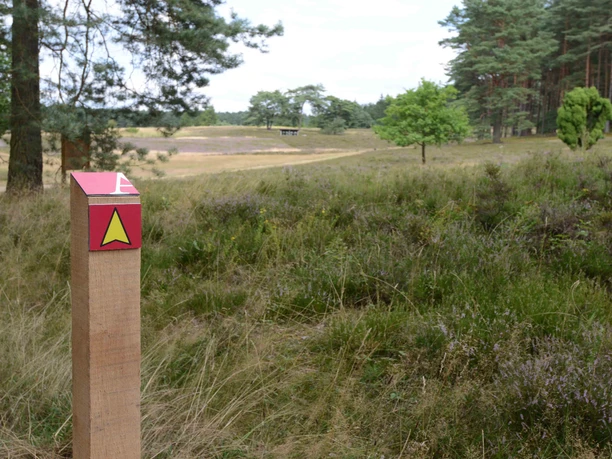 Wegmarkierung mit rotem Dreieck in weiter Heidelandschaft vor Waldrand.