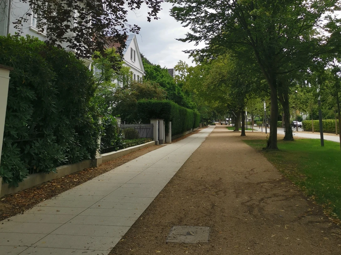 ©Mechthild Klein.jpg Ein ruhiger Gehweg, flankiert von Bäumen und Grün, neben einer gepflegten Wohnanlage.