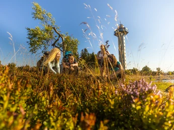 hochheideturm-straeucher-sommer c) ettelsberg-seilbahn-david-heise.jpg