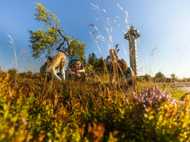 hochheideturm-straeucher-sommer c) ettelsberg-seilbahn-david-heise.jpg