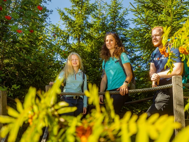 kyrillpfad c) ettelsberg-seilbahn-david-heise.jpg