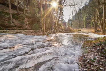 Flößersteig im Kirnitzschtal Verschneiter Bach in einem Wald bei Sonnenaufgang, mit Sonnenstrahlen durch die Bäume und einem kleinen Gebäude im Hintergrund.