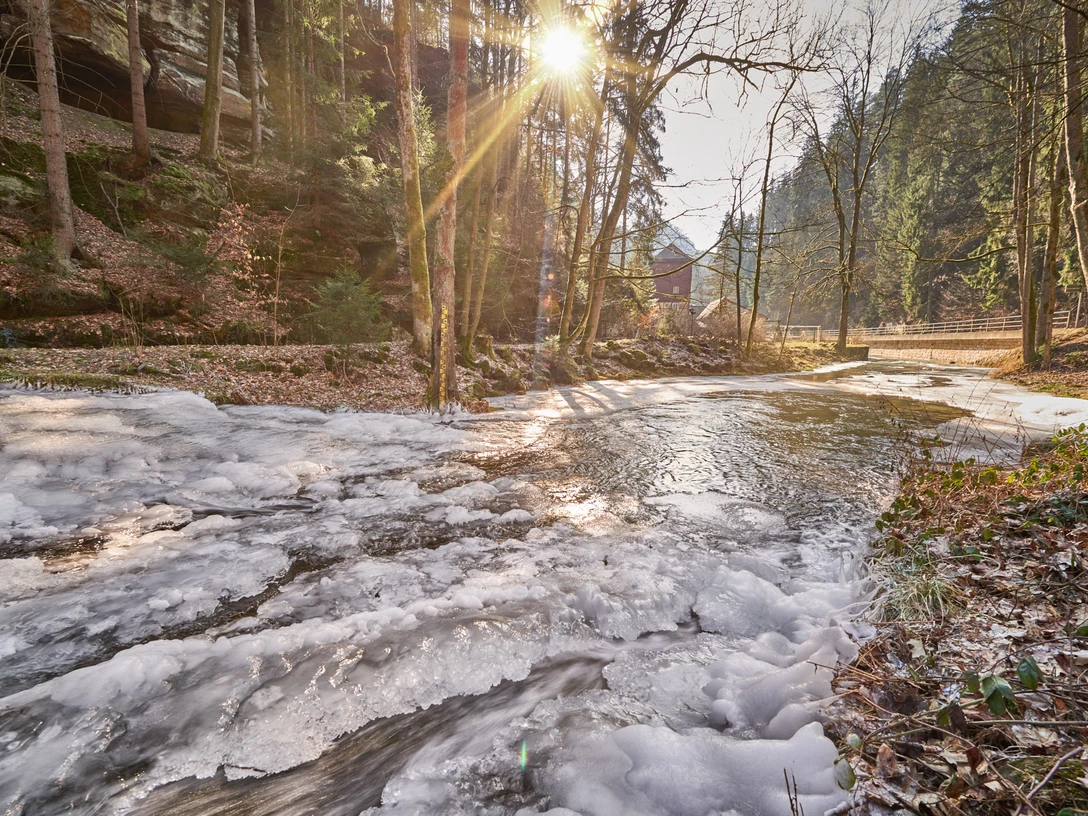Flößersteig im Kirnitzschtal Verschneiter Bach in einem Wald bei Sonnenaufgang, mit Sonnenstrahlen durch die Bäume und einem kleinen Gebäude im Hintergrund.