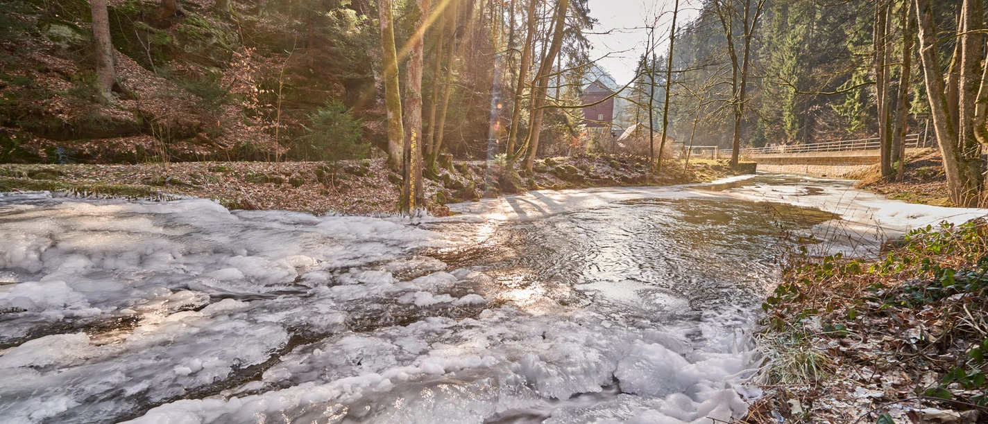 Flößersteig im Kirnitzschtal Verschneiter Bach in einem Wald bei Sonnenaufgang, mit Sonnenstrahlen durch die Bäume und einem kleinen Gebäude im Hintergrund.
