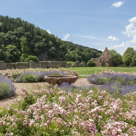 Kloster Buch in Leisnig - Freizeit und Geschichte in der Region Leipzig