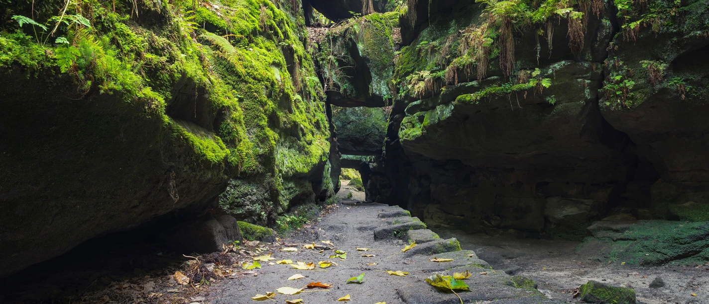 Felsentor im Uttewalder Grund Ein schmaler, von herabgefallenen Blättern bedeckter Pfad führt durch ein beeindruckendes Felsentor.