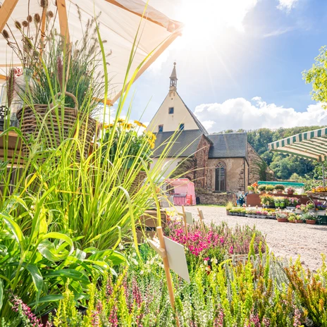 Stalls at the farmers' market at Buch Monastery in Leisnig - Shopping in the Leipzig region