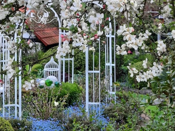 Garten Böhne Blühender Garten mit weißen Blumen, dekorativen weißen Torbögen und einem Vogelkäfig innatürlicher Umgebung.