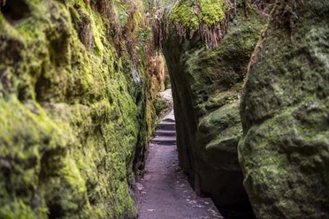 A narrow, moss-covered path from the Schwedenlöcher leads between high rocks covered in green moss and plants.