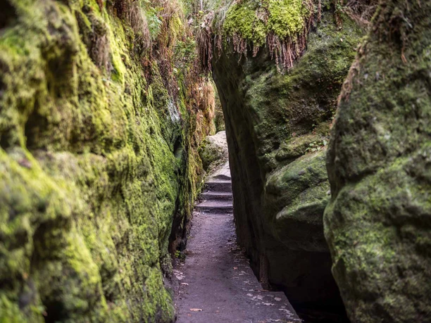 A narrow, moss-covered path from the Schwedenlöcher leads between high rocks covered in green moss and plants.