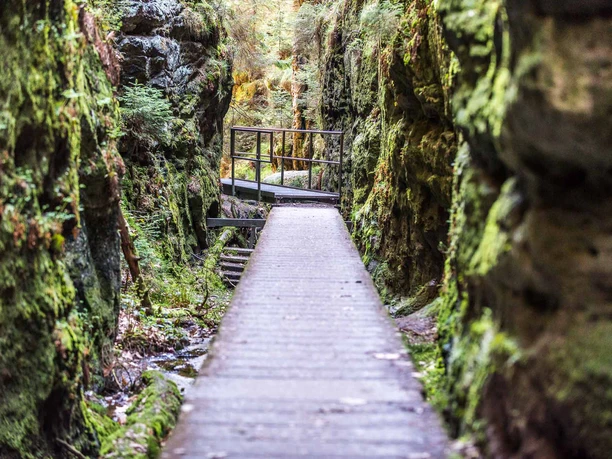 A narrow wooden walkway leads through a moss-covered, rocky gorge of the Schwedenlöcher; the atmosphere is calm and natural.