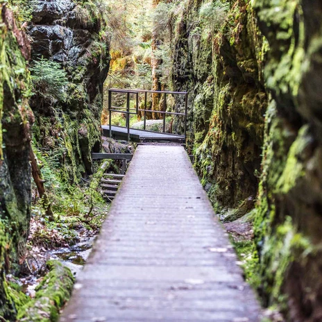 Schwedenlöcher Ein schmaler Holzsteg führt durch eine moosbewachsene, felsige Schlucht der Schwedenlöcher; die Atmosphäre wirkt ruhig und naturbelassen.