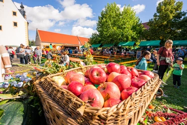 Äpfel auf dem Bauernmarkt in Leisnig am Kloster Buch - Einkaufen in der Region Leipzig Äpfel in einem Weidenkorb auf dem Bauernmarkt in Leisnig am Kloster Buch in der Region Leipzig