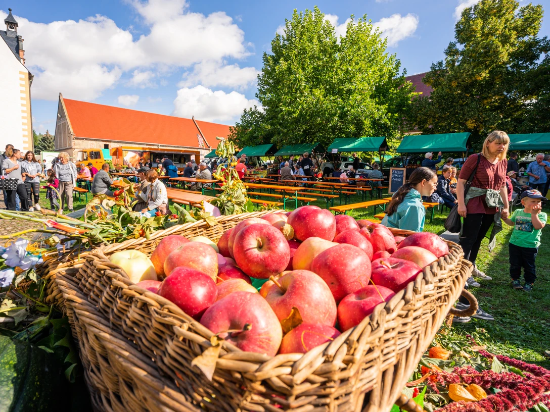 Äpfel auf dem Bauernmarkt in Leisnig am Kloster Buch - Einkaufen in der Region Leipzig Äpfel in einem Weidenkorb auf dem Bauernmarkt in Leisnig am Kloster Buch in der Region LeipzigApples in a wicker basket at the farmers' market in Leisnig at the Buch monastery in the Leipzig regionJablka v proutěném košíku na farmářském trhu v Leisnigu u kláštera Buch v lipském regionuJabłka w wiklinowym koszu na targu rolnym w Leisnig przy klasztorze Buch w regionie LipskaAppels in een rieten mand op de boerenmarkt in Leisnig bij het klooster Buch in de regio LeipzigMele in un cesto di vimini al mercato contadino di Leisnig presso il monastero di Buch, nella regione di Lipsia