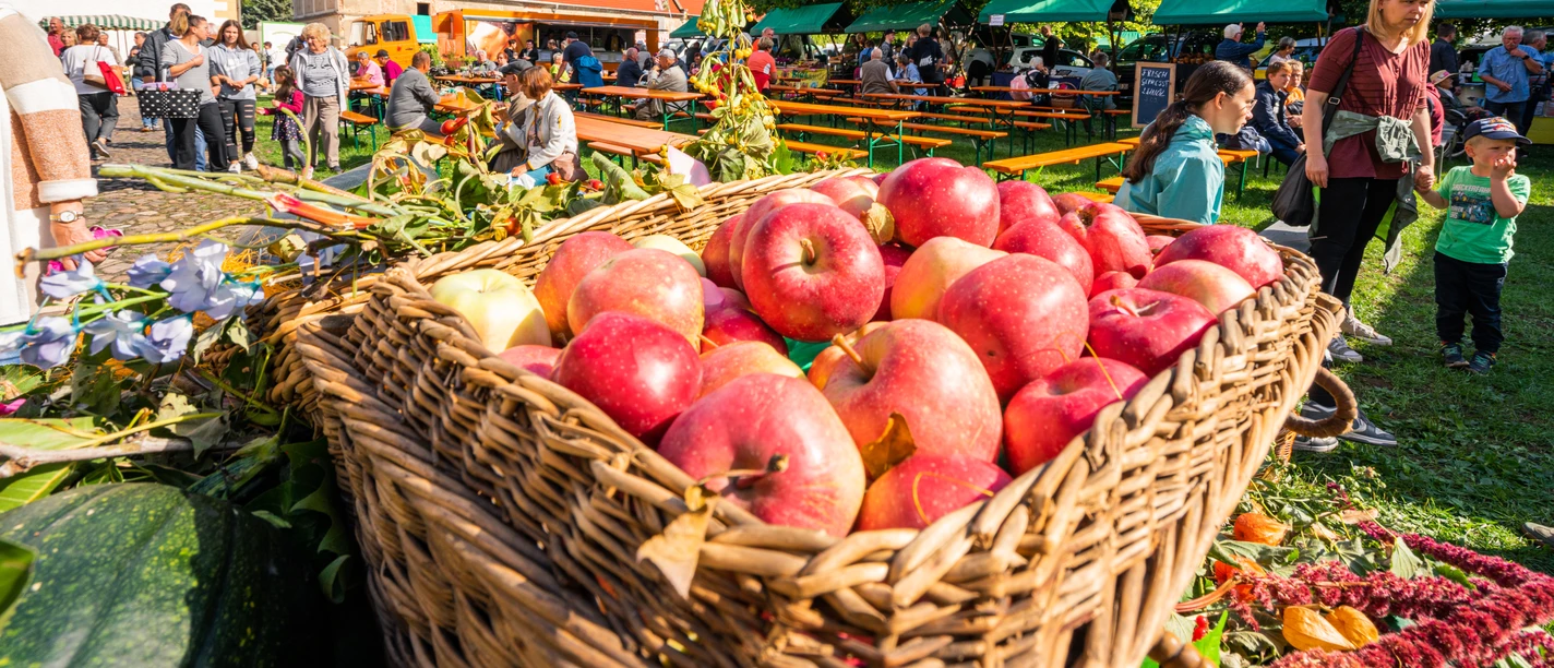 Pommes au marché fermier de Leisnig au monastère de Buch - Shopping dans la région de Leipzig Pommes dans un panier en osier au marché fermier de Leisnig, près du monastère de Buch dans la région de Leipzig