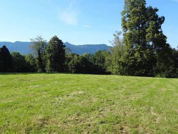 Spaziergang ums Haus