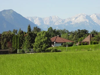 Spaziergang ums Haus