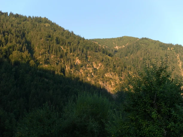 Bergblick, Not
