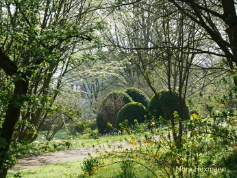 boatnischer_garten_Bux N_H.jpg Botanischer Garten im Frühling