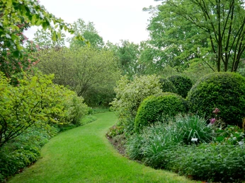 Kugelig geschnittene Büsche, Rasenflächen und Bäume im Botanischen Garten