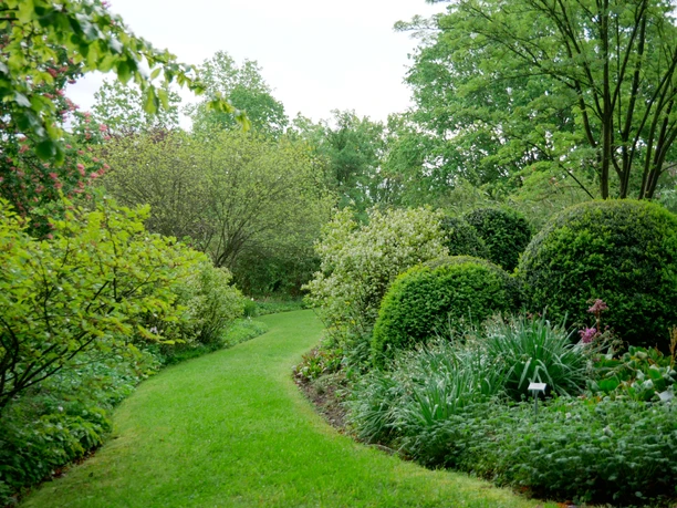 botanischer_garten_Nora_Huxmann__Rasenweg.jpg Kugelig geschnittene Büsche, Rasenflächen und Bäume im Botanischen Garten