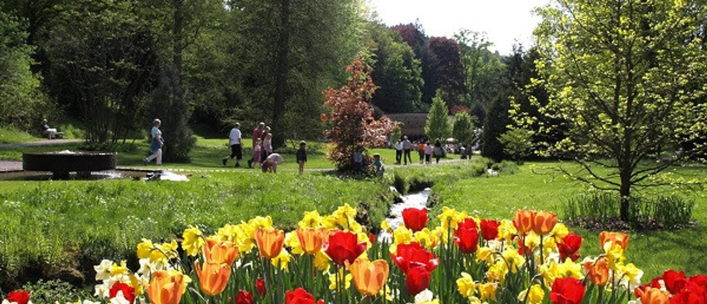 Gernsbach Kurpark Kurkonzert