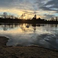 Naturbadesee NEZ in Pirna-Copitz Ein Schwan schwimmt auf einem ruhigen See im Sonnenuntergang, umgeben von kahlen Bäumen und einem wolkigen Himmel.A swan swims on a calm lake at sunset, surrounded by bare trees and a cloudy sky.Labuť plave na klidném jezeře při západu slunce, obklopená holými stromy a zamračenou oblohou.Łabędź pływa po spokojnym jeziorze o zachodzie słońca, otoczony gołymi drzewami i zachmurzonym niebem.Een zwaan zwemt op een rustig meer bij zonsondergang, omringd door kale bomen en een bewolkte lucht.Un cigno nuota su un lago tranquillo al tramonto, circondato da alberi spogli e da un cielo nuvoloso.