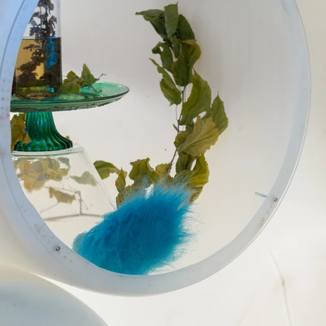 10_Nadia Belerique_HOLDINGS (Ongoing) (Detail)_Installation View…hoto Stefan Stark.jpg