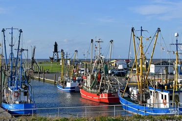flohmarkt_dorum-neufeld
