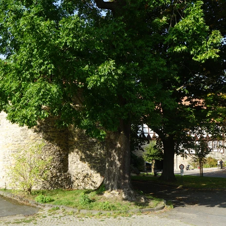 wasserburg-gebhardshagen-scheune-beate-ziehres-zeitorte.jpg