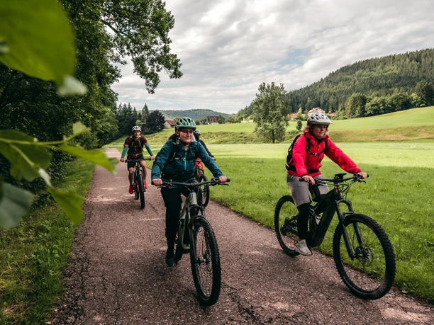 Gefuehrte MTB-Touren Baiersbronn Huzenbacher See Gefuehrte MTB-Touren Baiersbronn Huzenbacher See