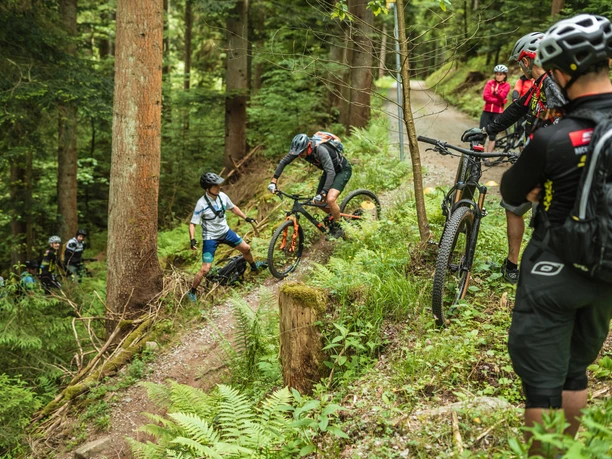 Gefuehrte MTB-Touren Baiersbronn Trail-Genusscamp Waldweg Gefuehrte MTB-Touren Baiersbronn Trail-Genusscamp Waldweg