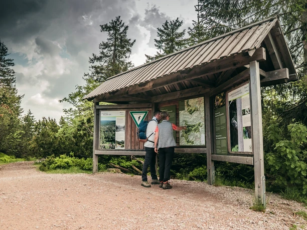 Gefuehrte Wanderungen Baiersbronn Nationalpark Ruhestein Infohuette Gefuehrte Wanderungen Baiersbronn Nationalpark Ruhestein Infohuette