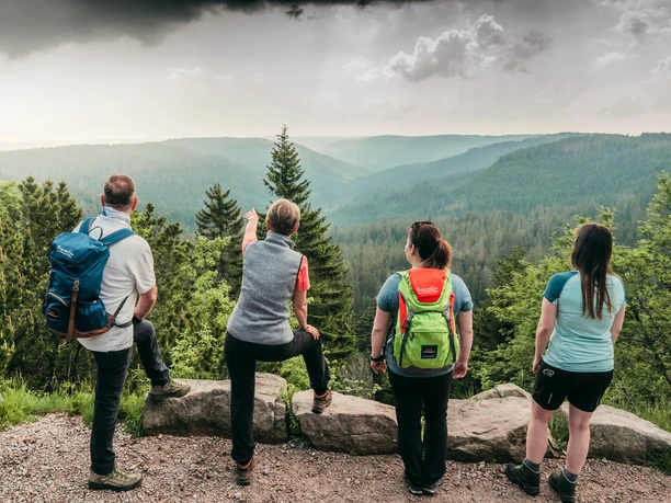 Gefuehrte Wanderungen Baiersbronn Nationalpark Wildseeblick Gefuehrte Wanderungen Baiersbronn Nationalpark Wildseeblick