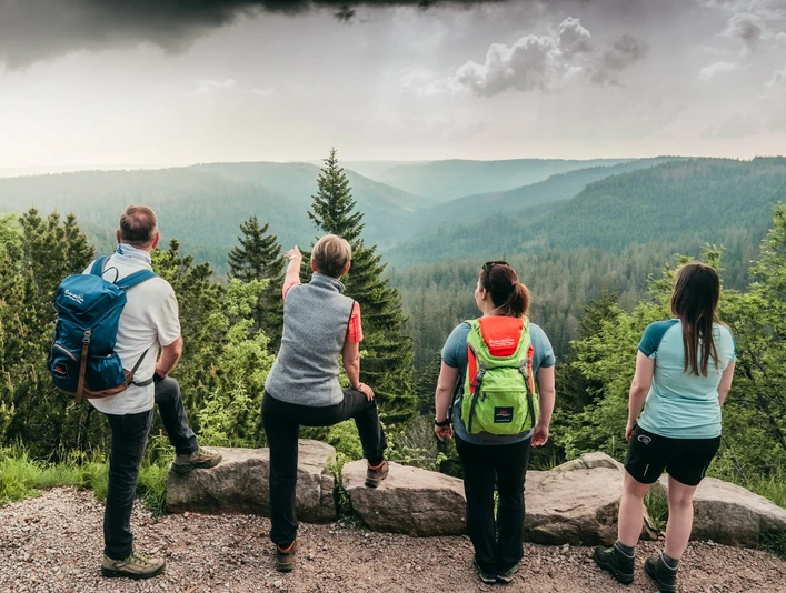 Gefuehrte Wanderungen Baiersbronn Nationalpark Wildseeblick Gefuehrte Wanderungen Baiersbronn Nationalpark Wildseeblick