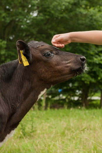 Unterwegs auf der Bauernhoftour
