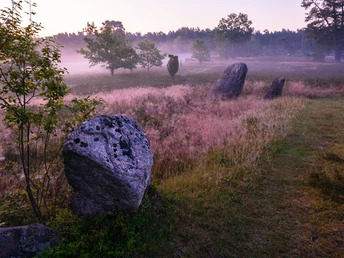 Oldendorfer Totenstatt