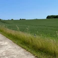 Gerader, betonierter Radweg führt zwischen grünem Feld und Wiese entlang, blauer Himmel.