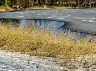 0-w-1-IMG_4459-edited.jpg
