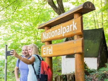 Durch den Nationalpark Eifel