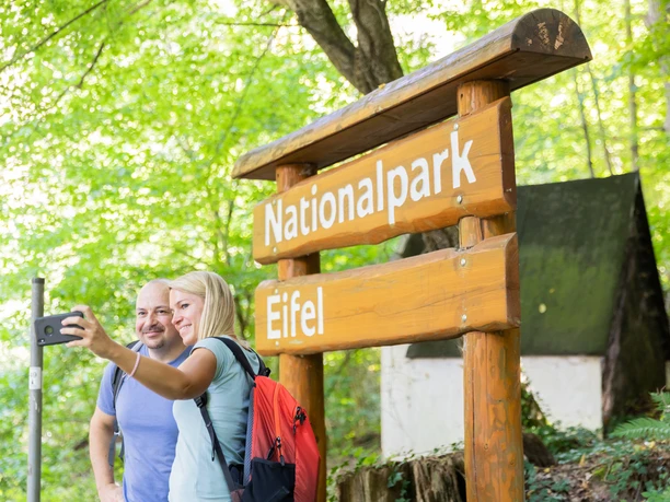 Durch den Nationalpark Eifel