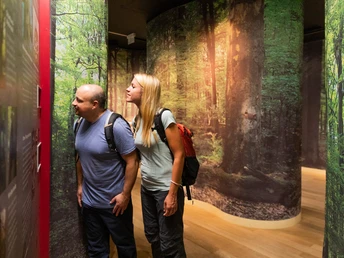 Heimbach Nationalpark-Tor