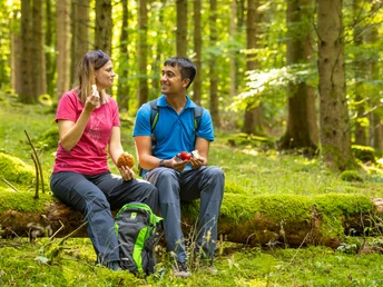 Idyllische Wanderrast im Manscheider Bachtal