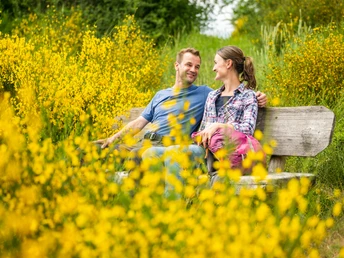 Eifelgold Route, Idyllische Rast umgeben von Ginster