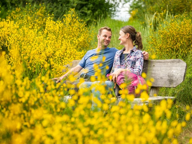 Eifelgold Route, Idyllische Rast umgeben von Ginster