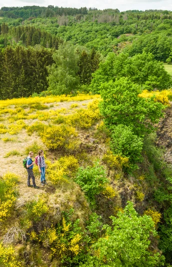Eifelgold Route, toller Aussichtspunkt auf der Wanderung
